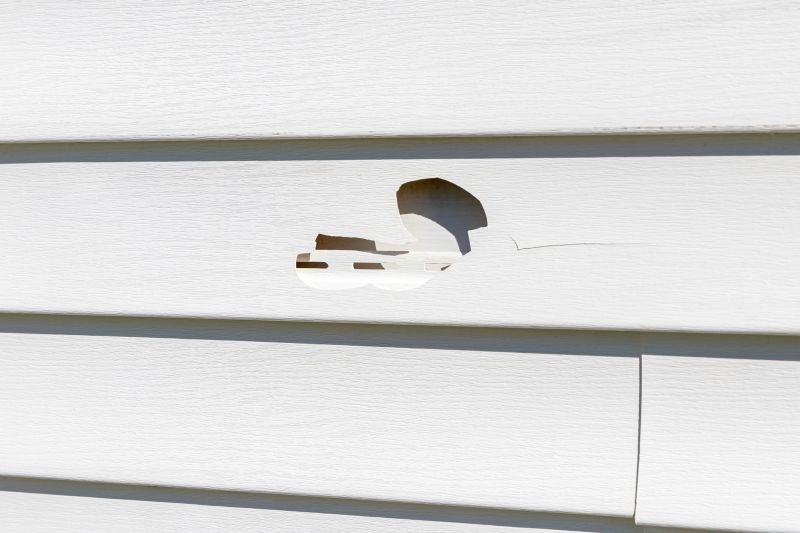 Siding Damage Repair